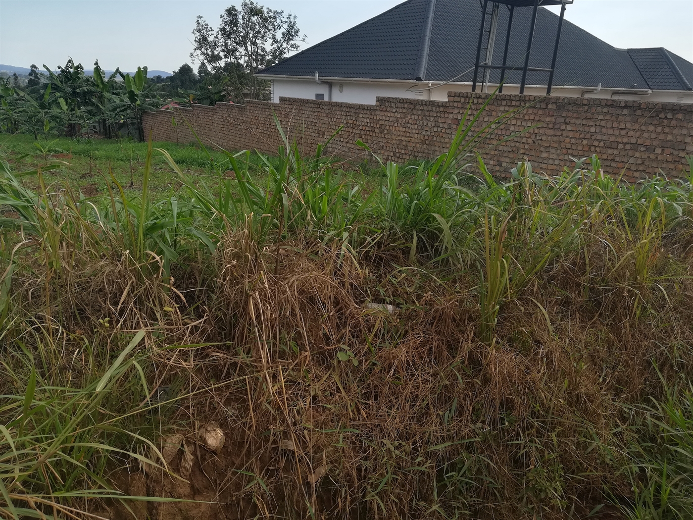 Residential Land for sale in Njerere Mukono