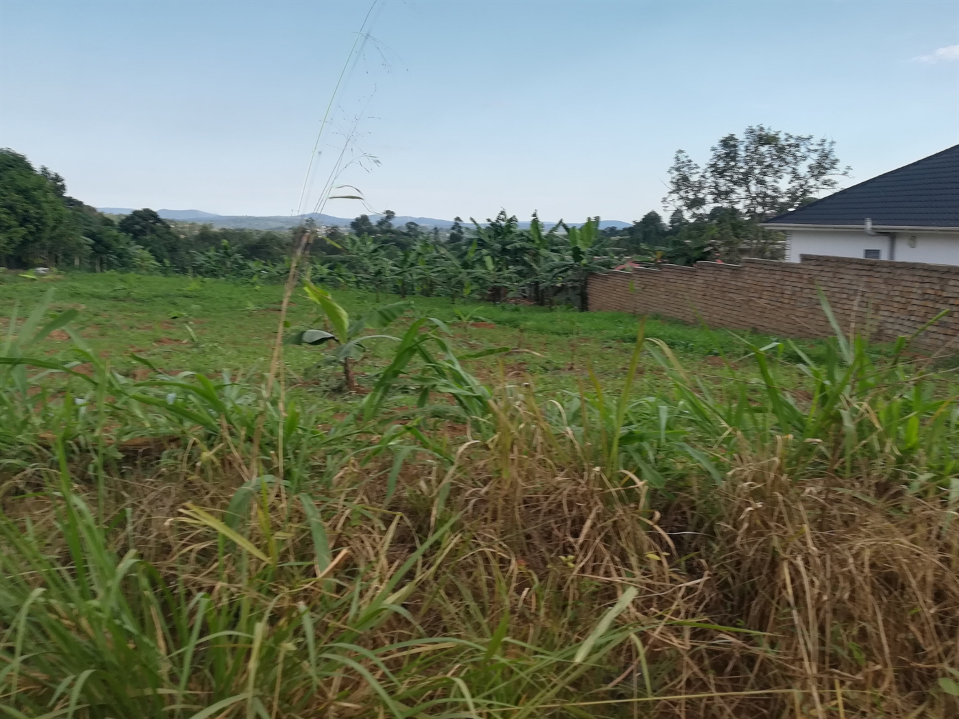 Residential Land for sale in Njerere Mukono