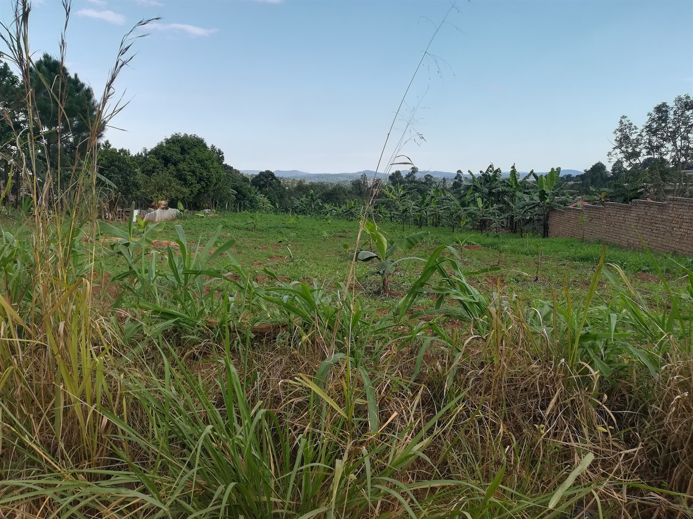 Residential Land for sale in Njerere Mukono