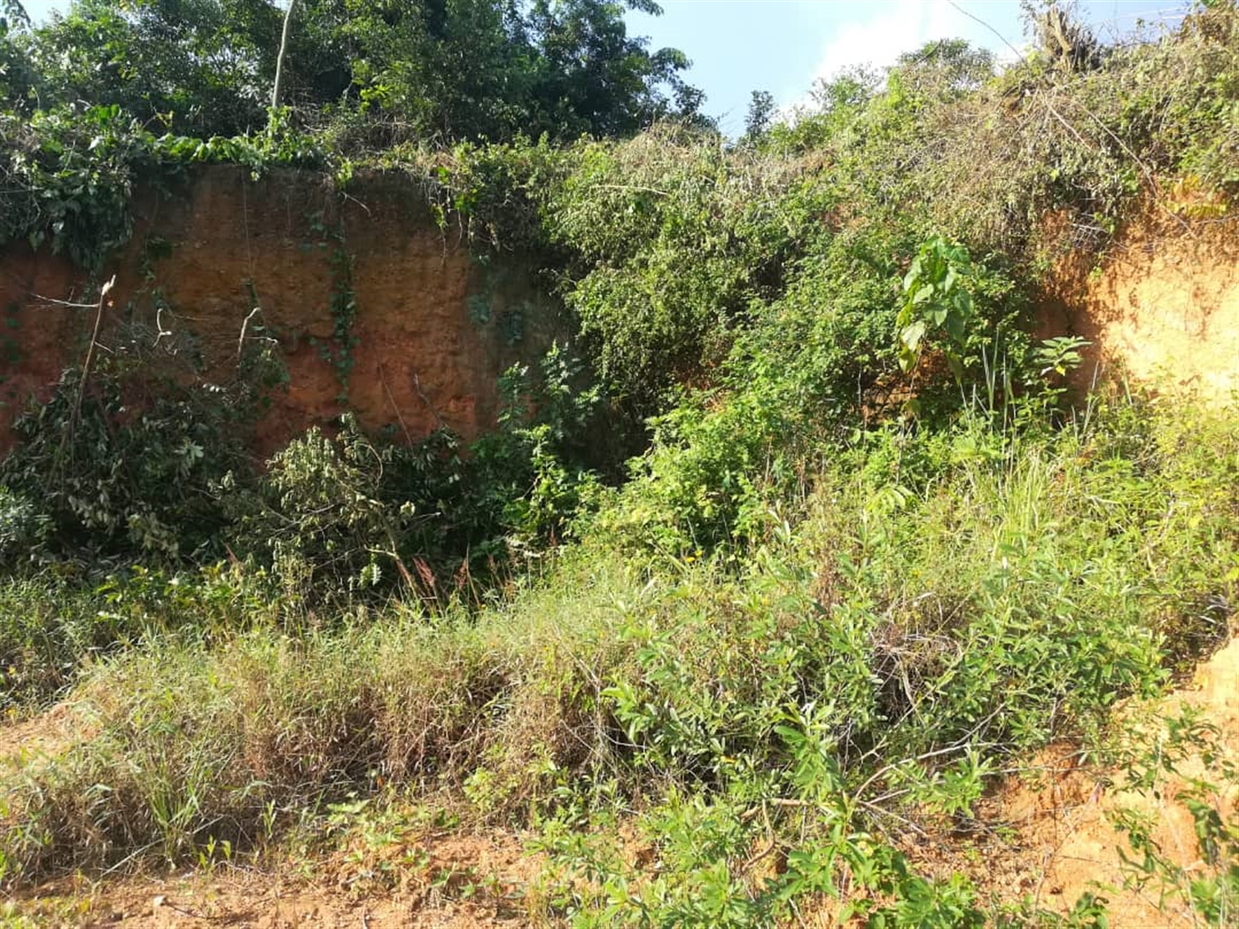 Residential Land for sale in Namilyango Mukono