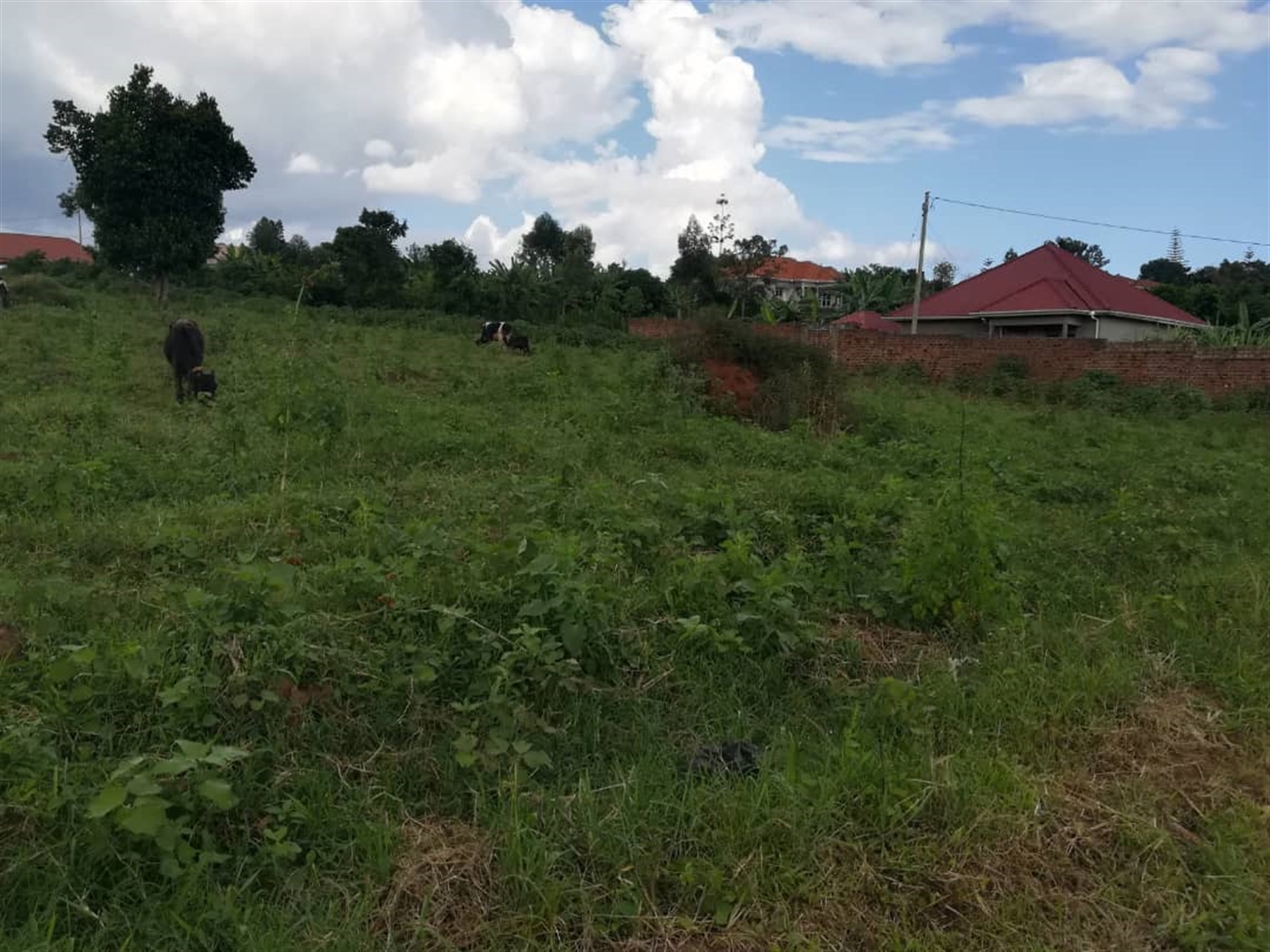 Residential Land for sale in Namilyango Mukono