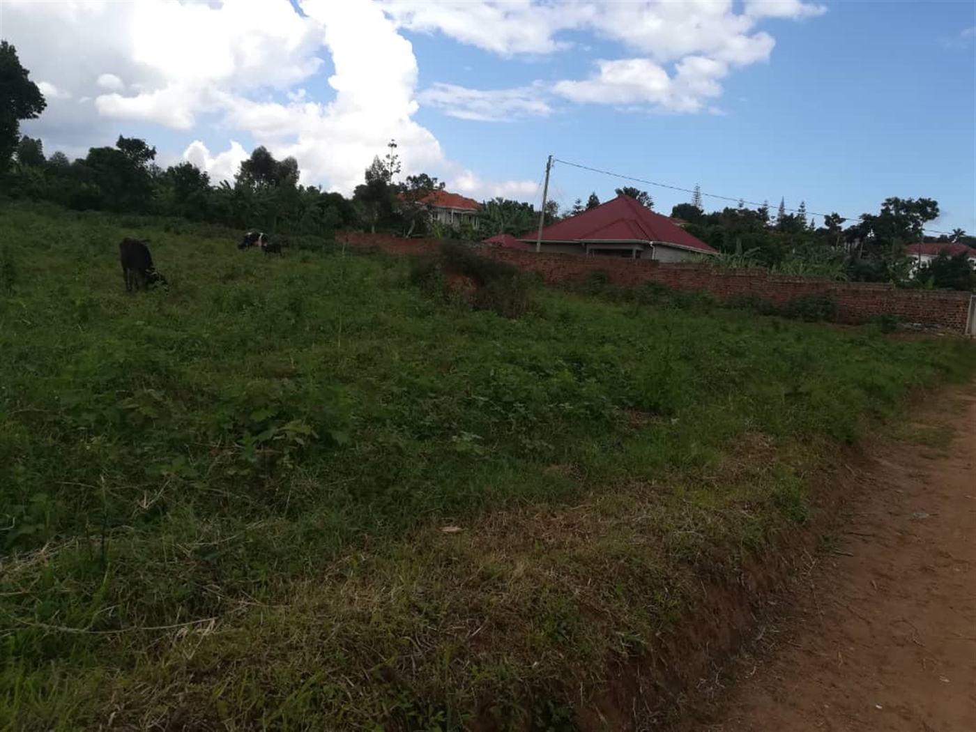 Residential Land for sale in Namilyango Mukono