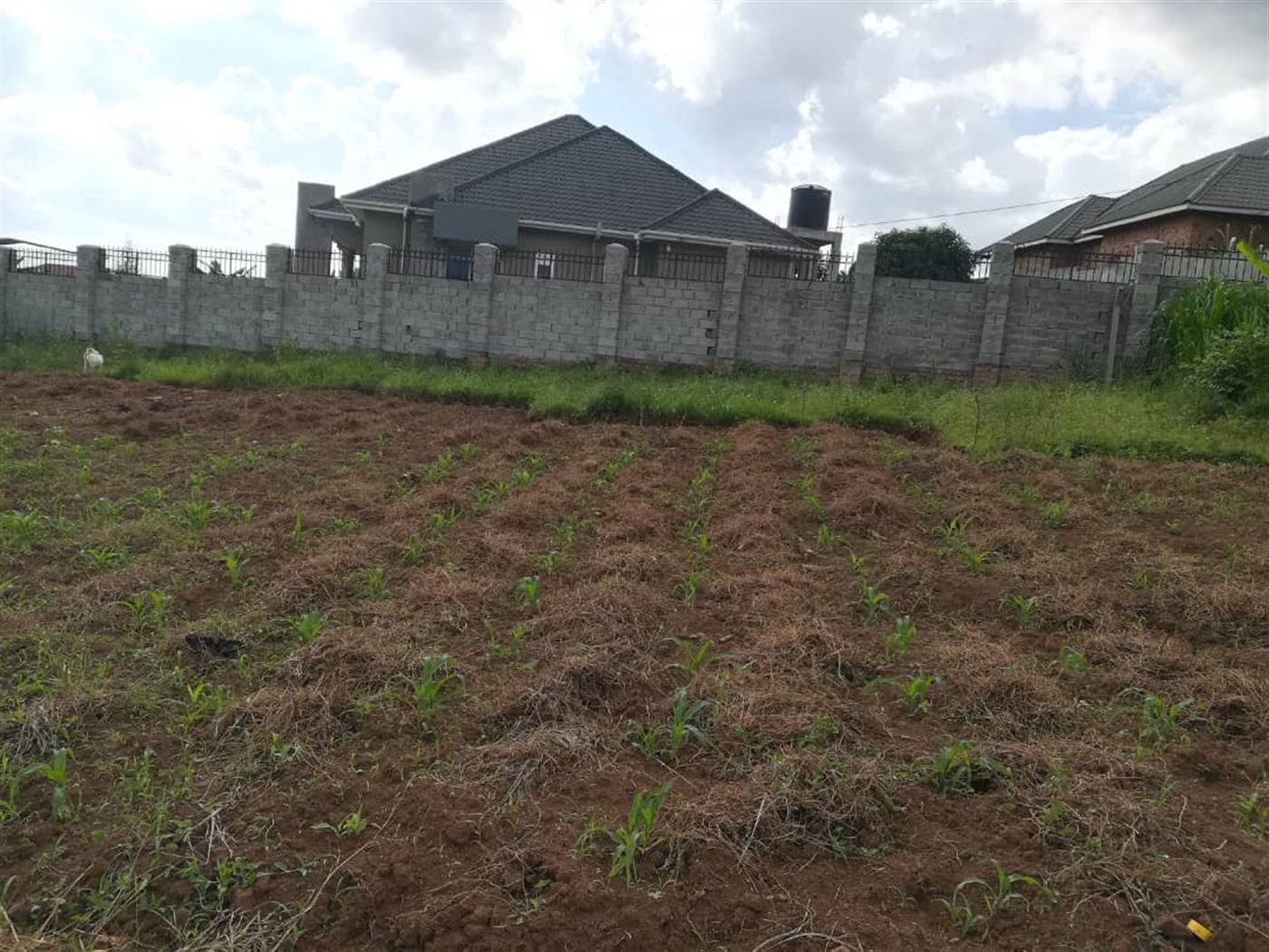 Residential Land for sale in Mpoma Mukono