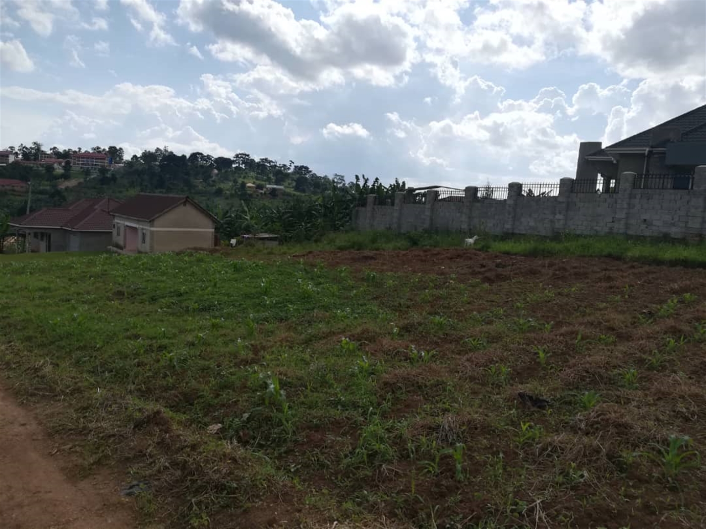 Residential Land for sale in Mpoma Mukono