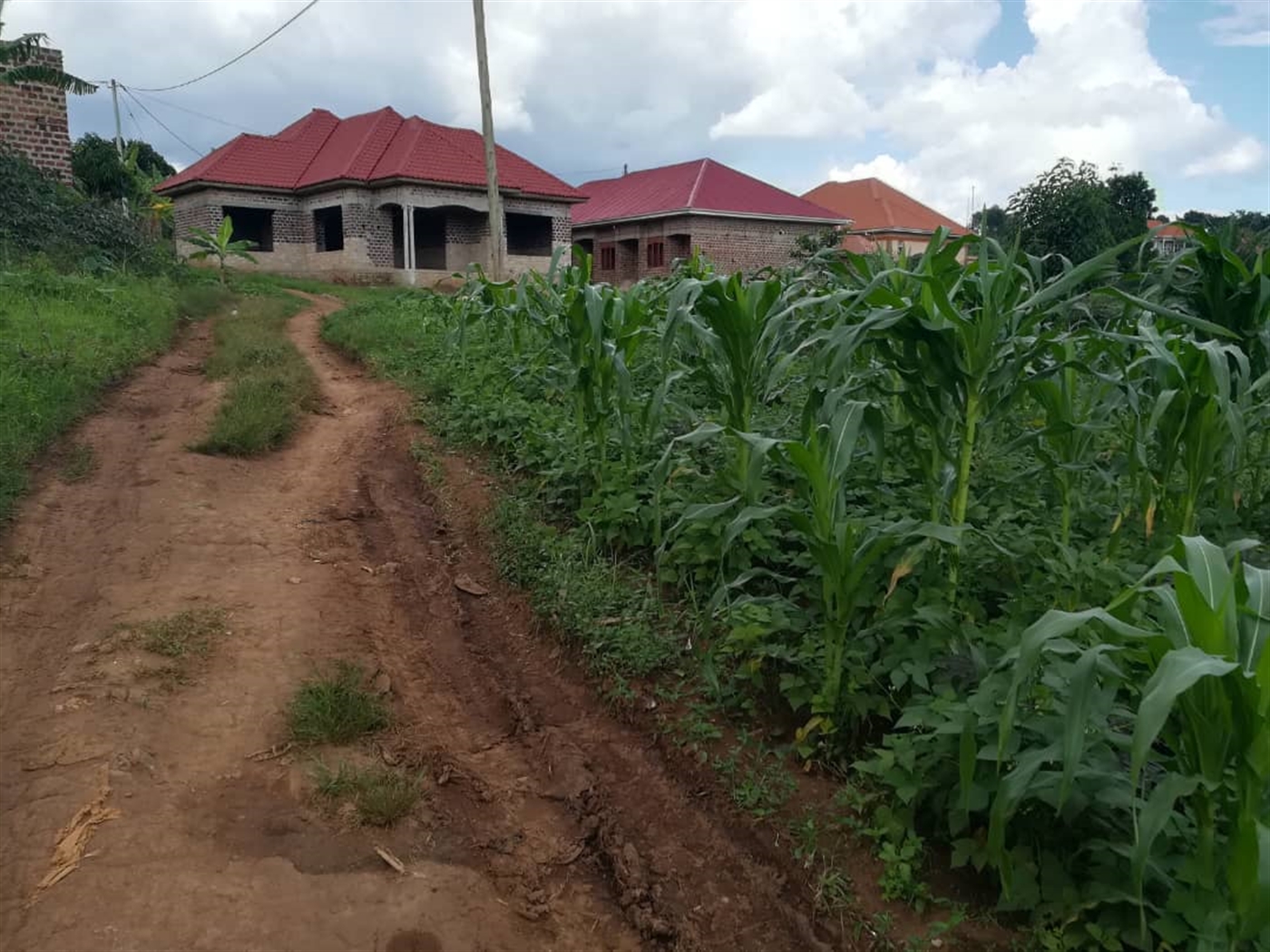 Residential Land for sale in Kyetume Mukono