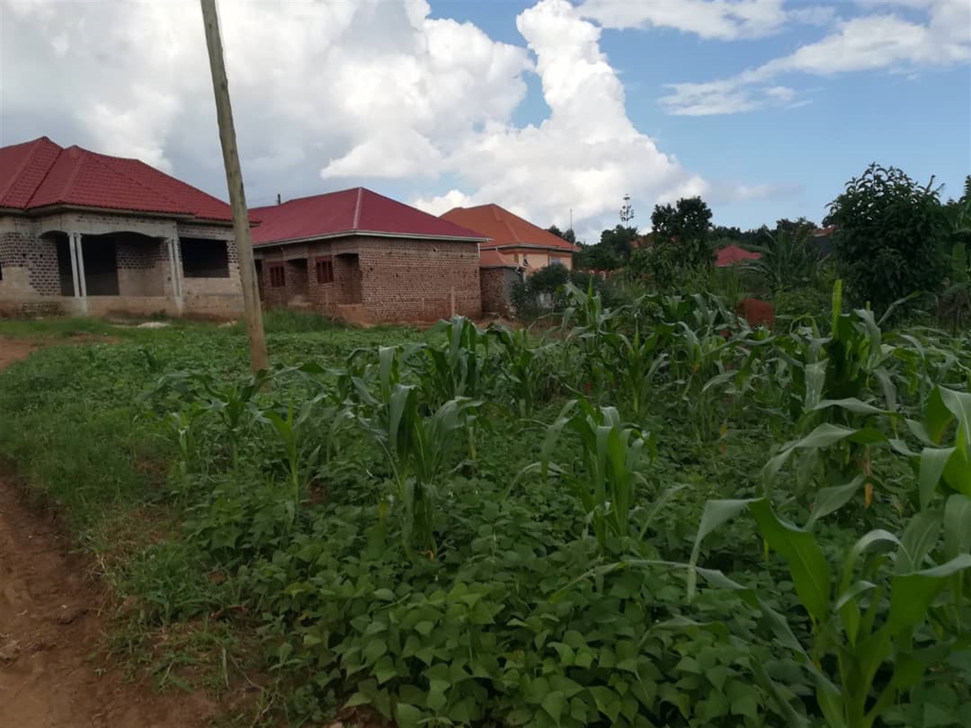 Residential Land for sale in Kyetume Mukono