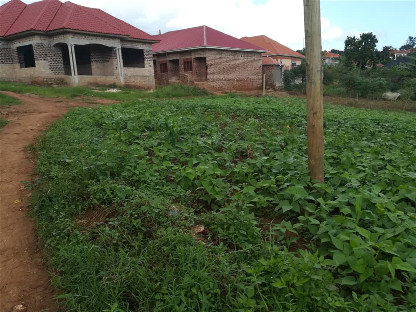 Residential Land for sale in Kyetume Mukono