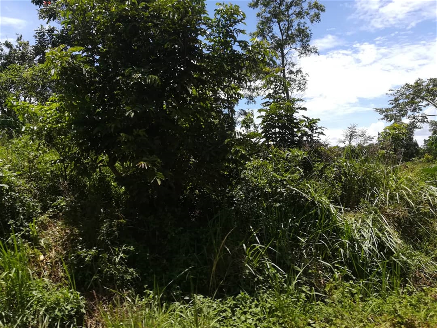 Agricultural Land for sale in Busabaga Mukono