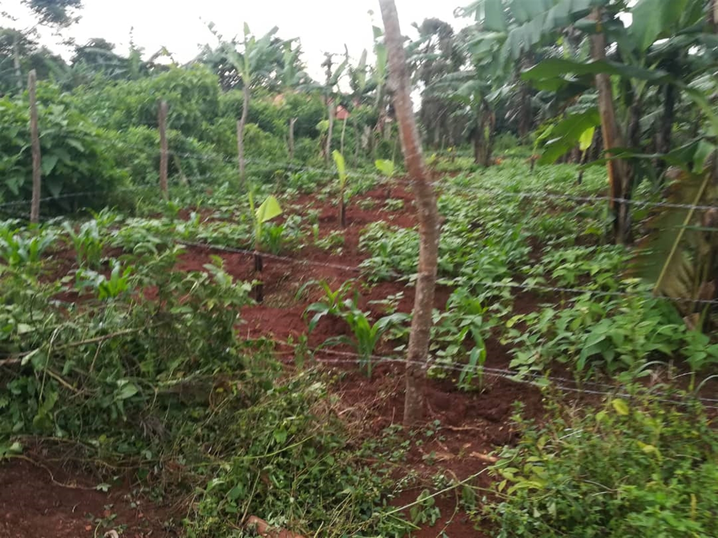 Agricultural Land for sale in Kisoga Mukono