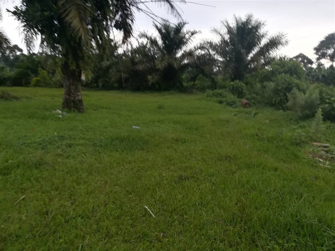 Agricultural Land for sale in Busabaga Mukono