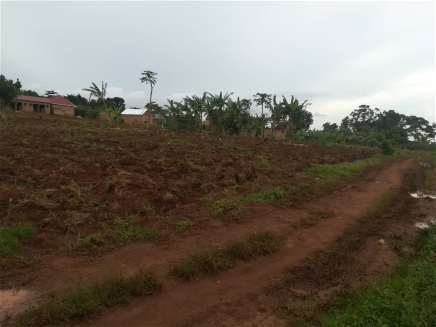 Agricultural Land for sale in Nkokonjeru Mukono