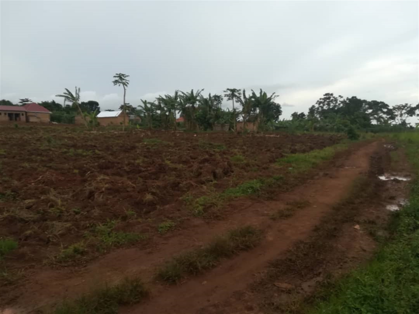 Agricultural Land for sale in Nkokonjeru Mukono