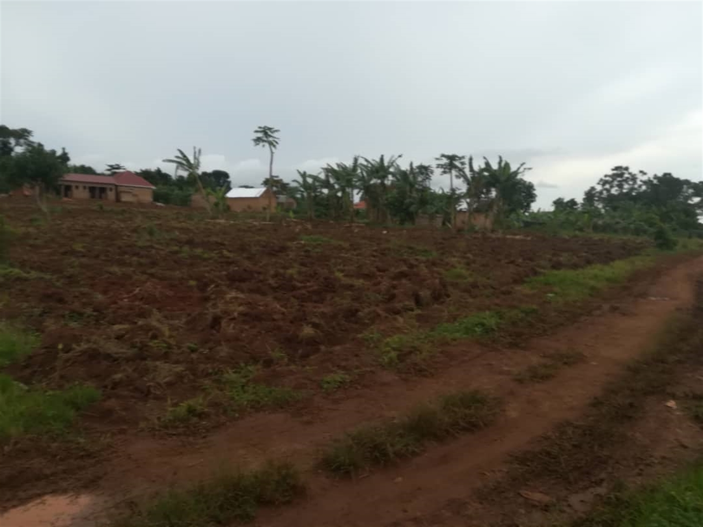 Agricultural Land for sale in Nkokonjeru Mukono