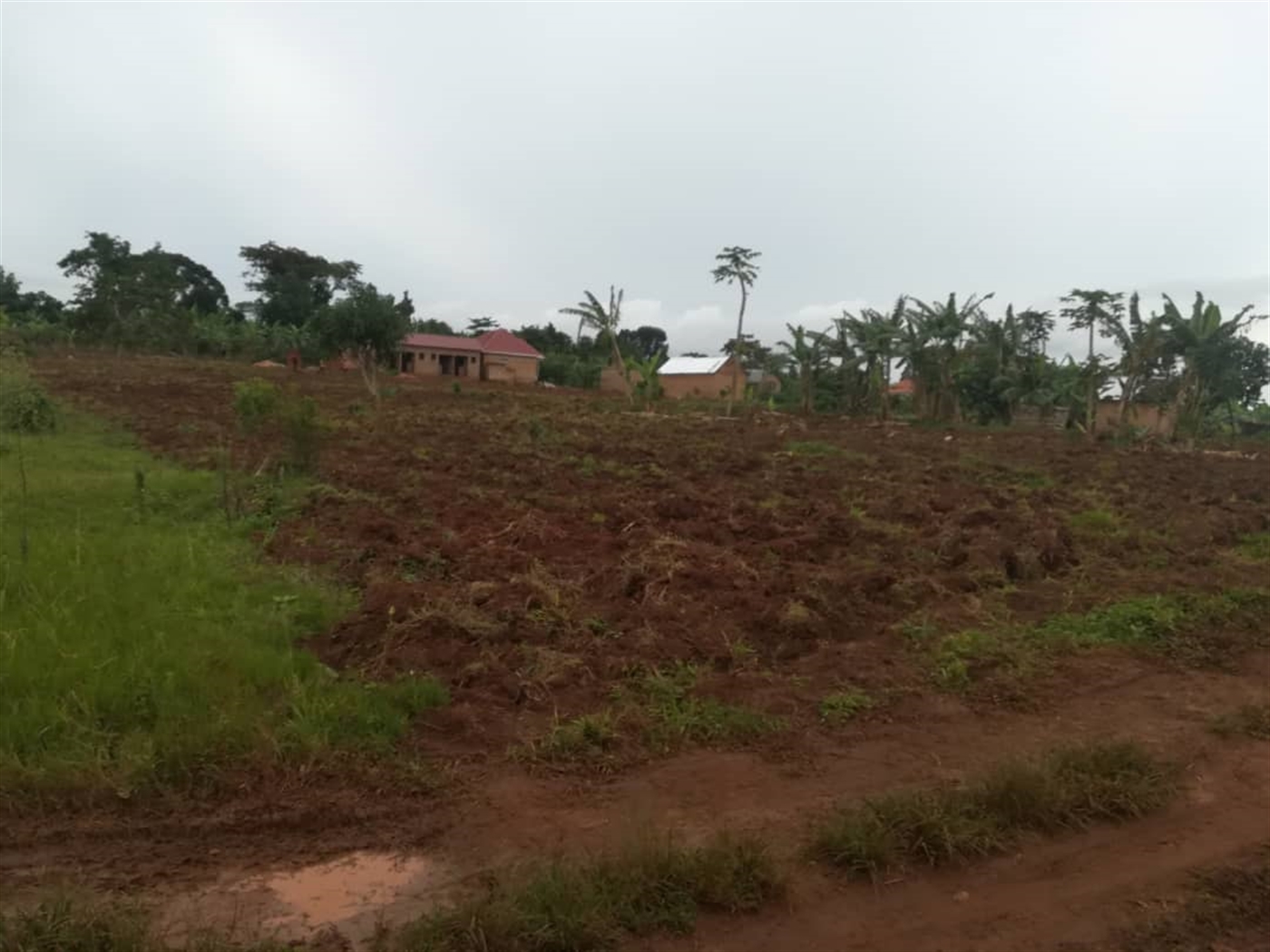 Agricultural Land for sale in Nkokonjeru Mukono