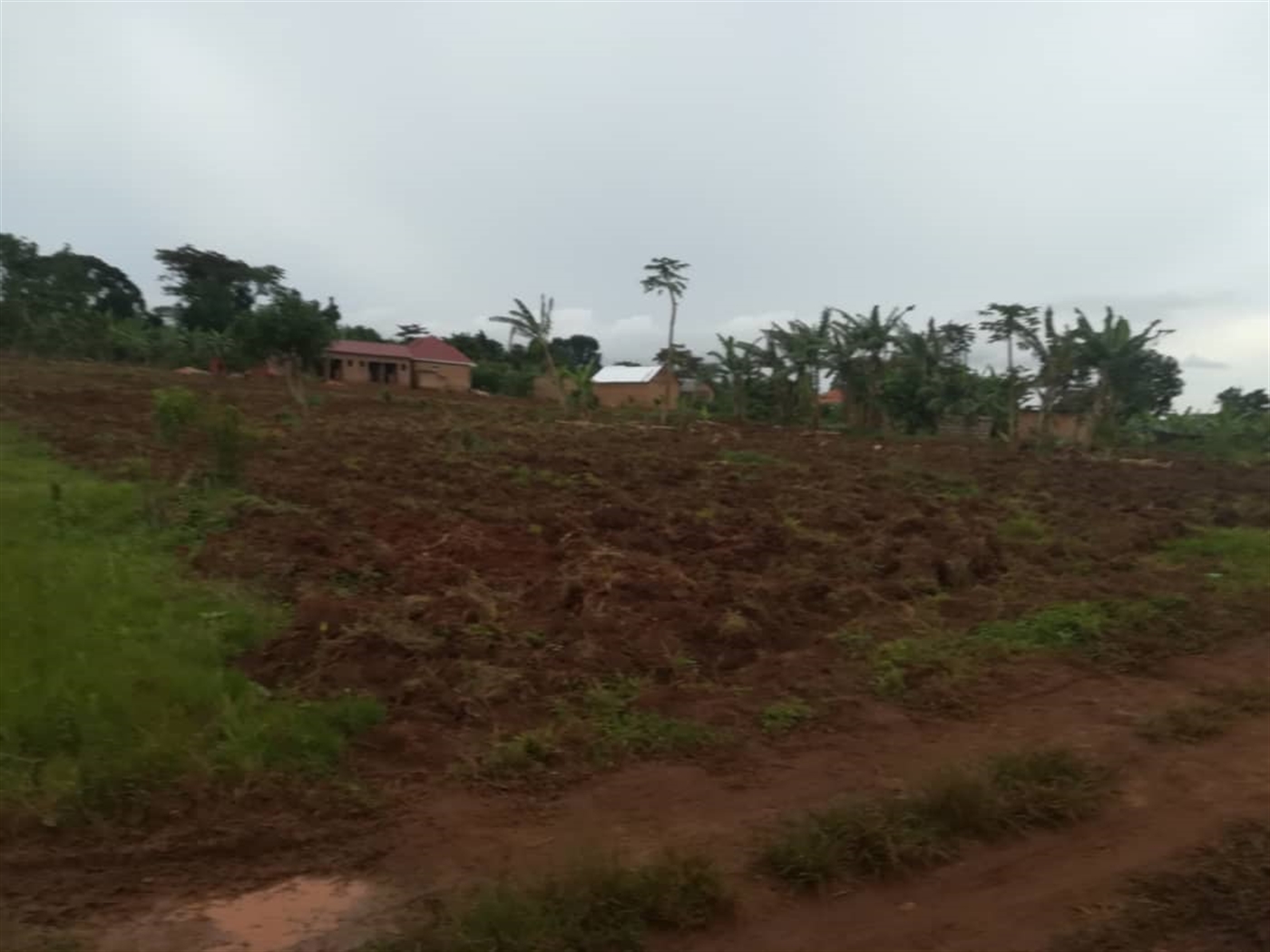 Agricultural Land for sale in Nkokonjeru Mukono