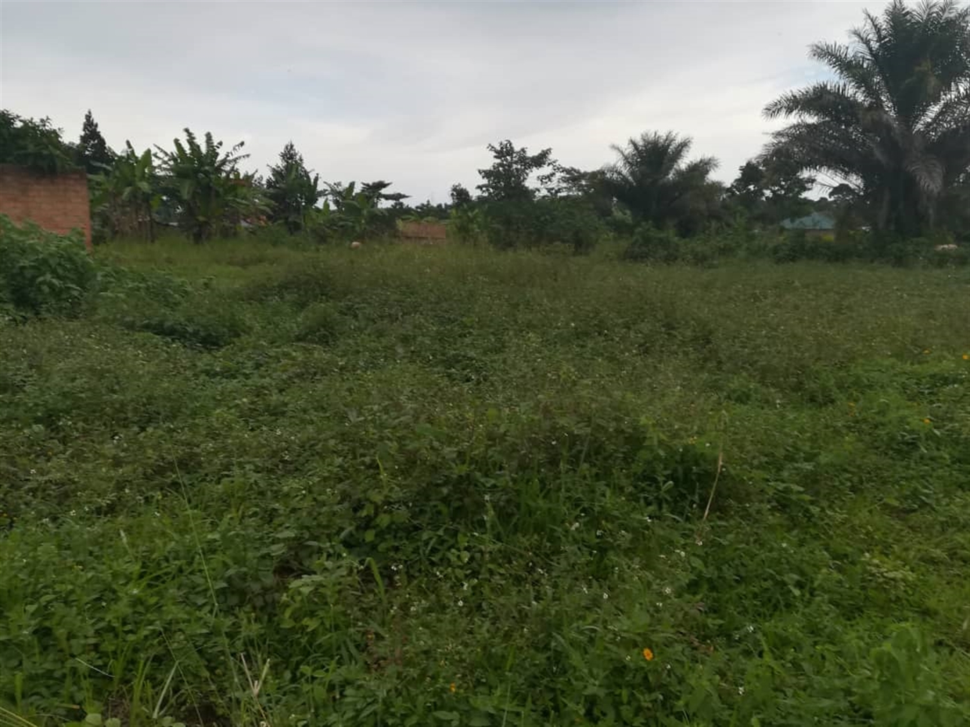 Agricultural Land for sale in Busabaga Mukono