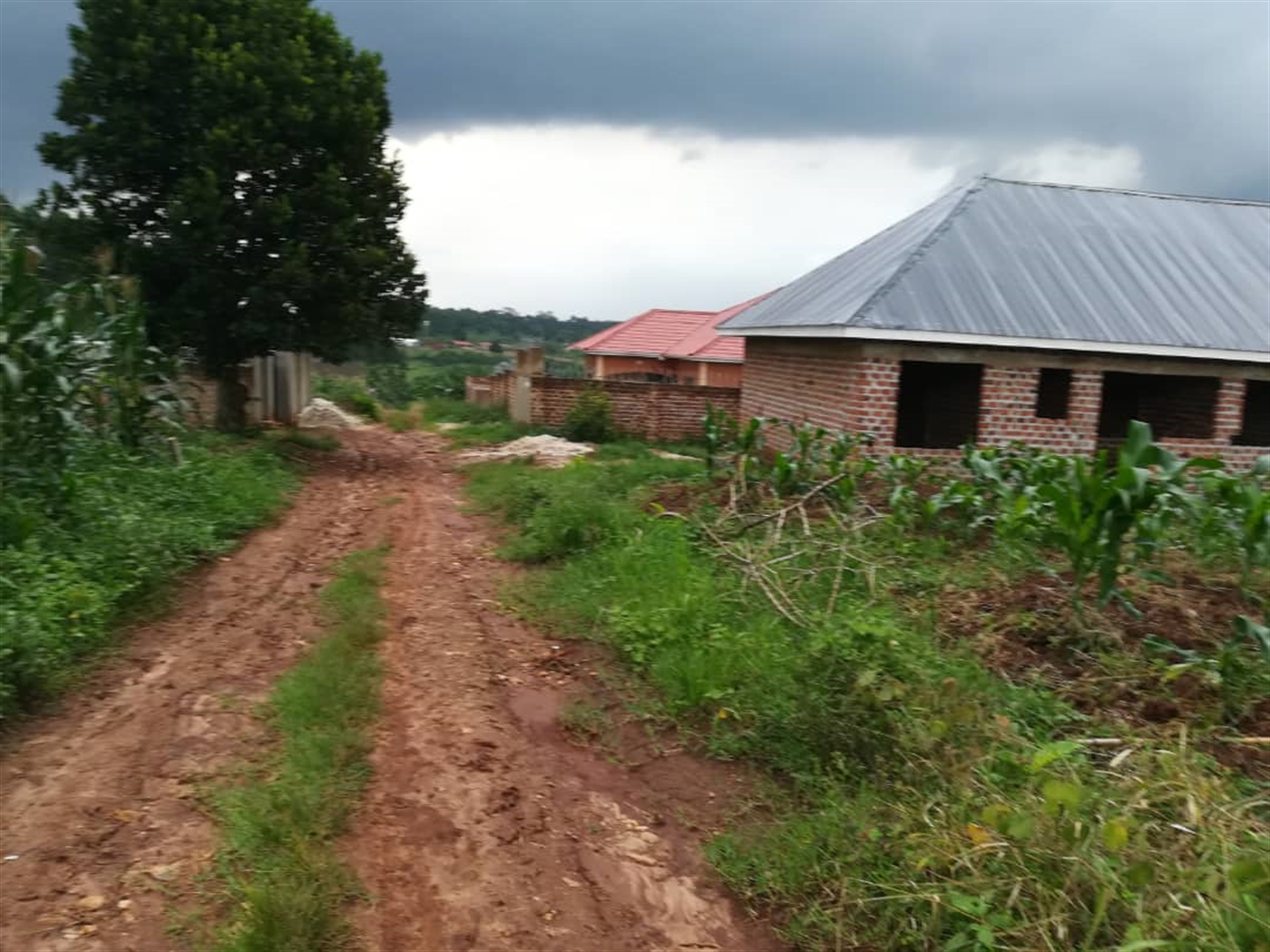 Residential Land for sale in Nabuuti Mukono