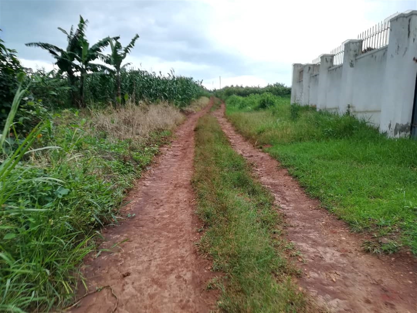 Residential Land for sale in Namilyango Mukono