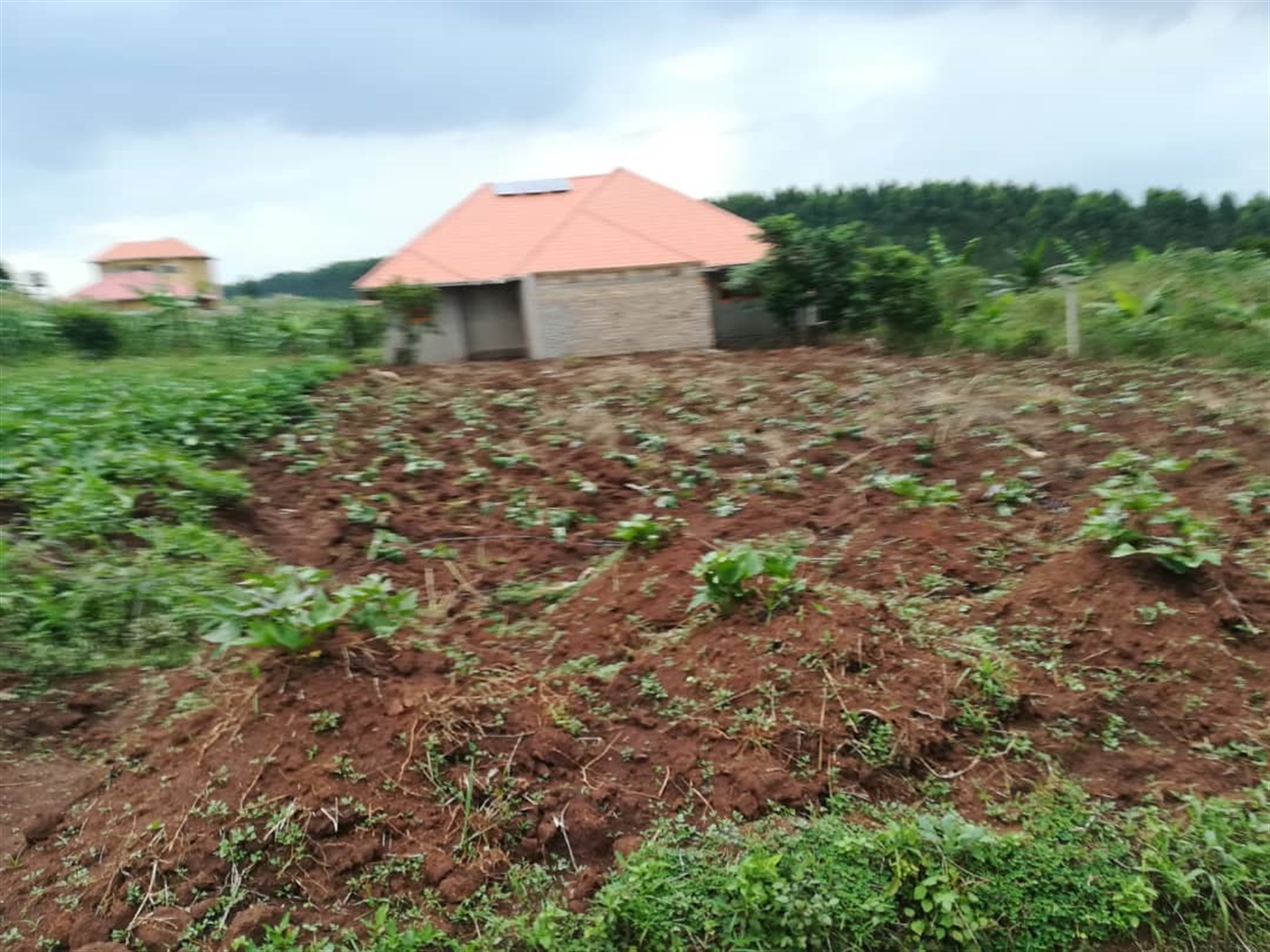 Residential Land for sale in Namilyango Mukono