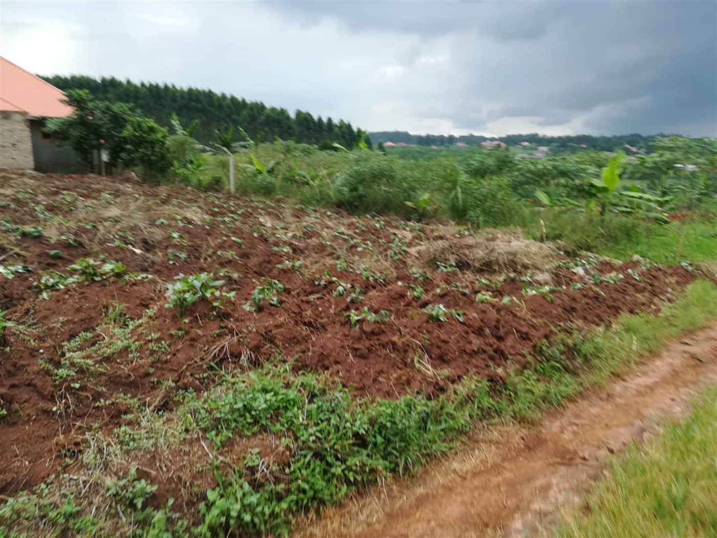 Residential Land for sale in Namilyango Mukono