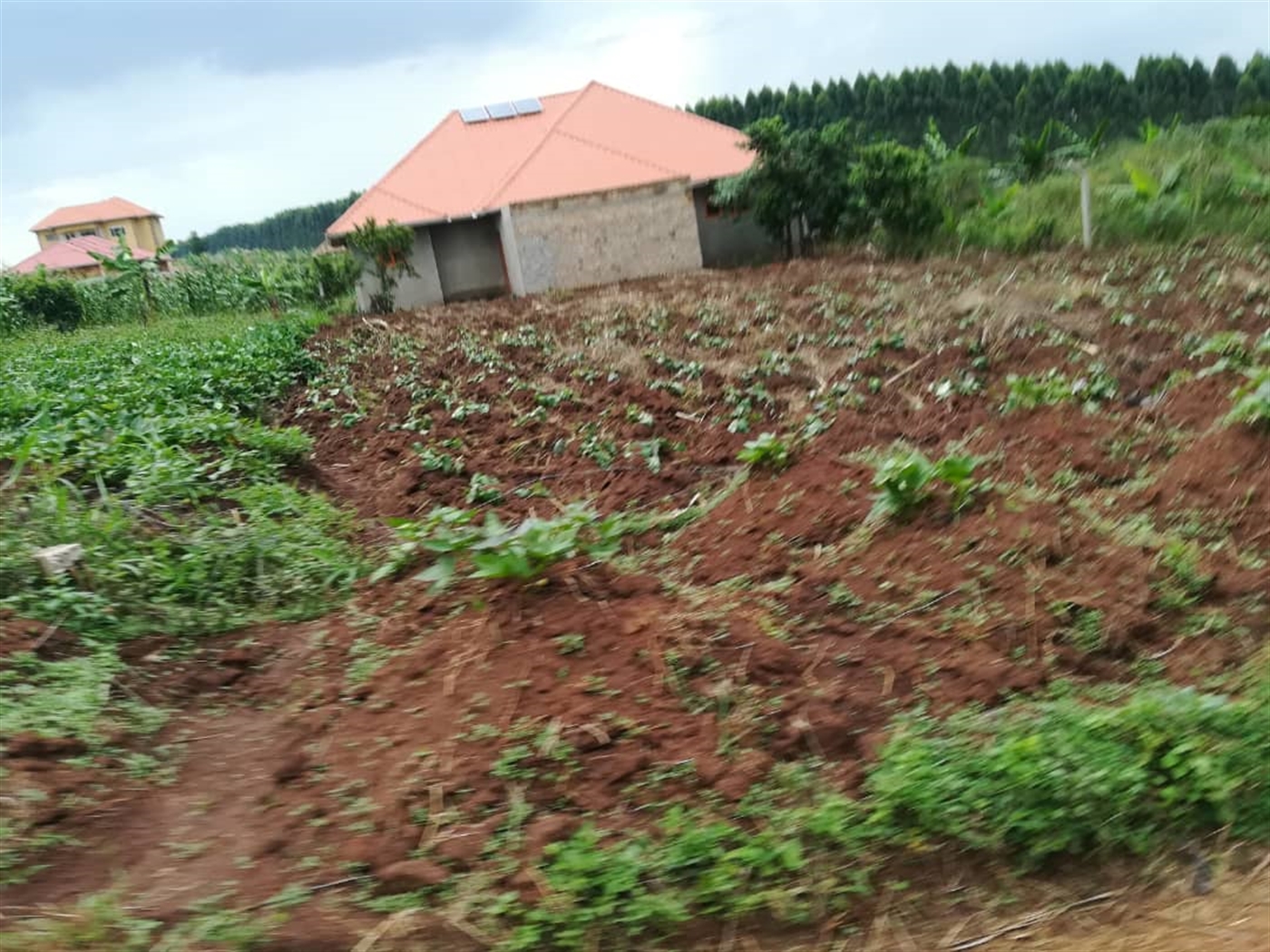 Residential Land for sale in Namilyango Mukono