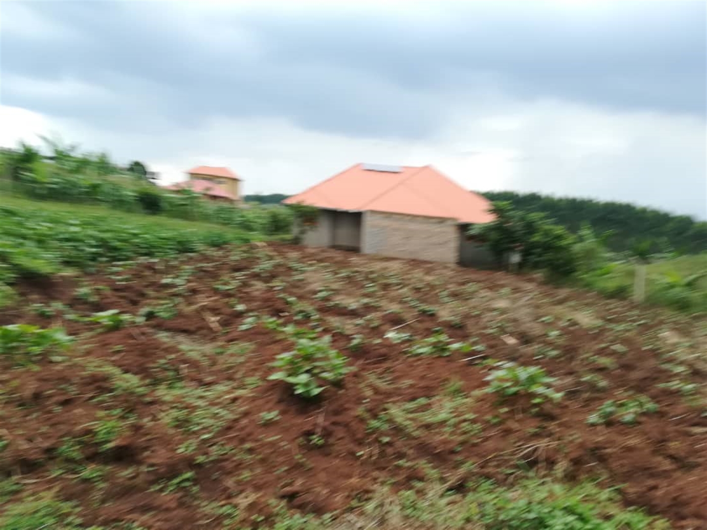 Residential Land for sale in Namilyango Mukono