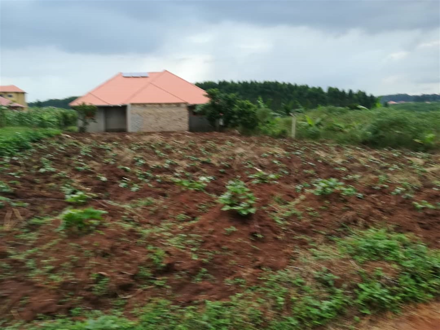 Residential Land for sale in Namilyango Mukono