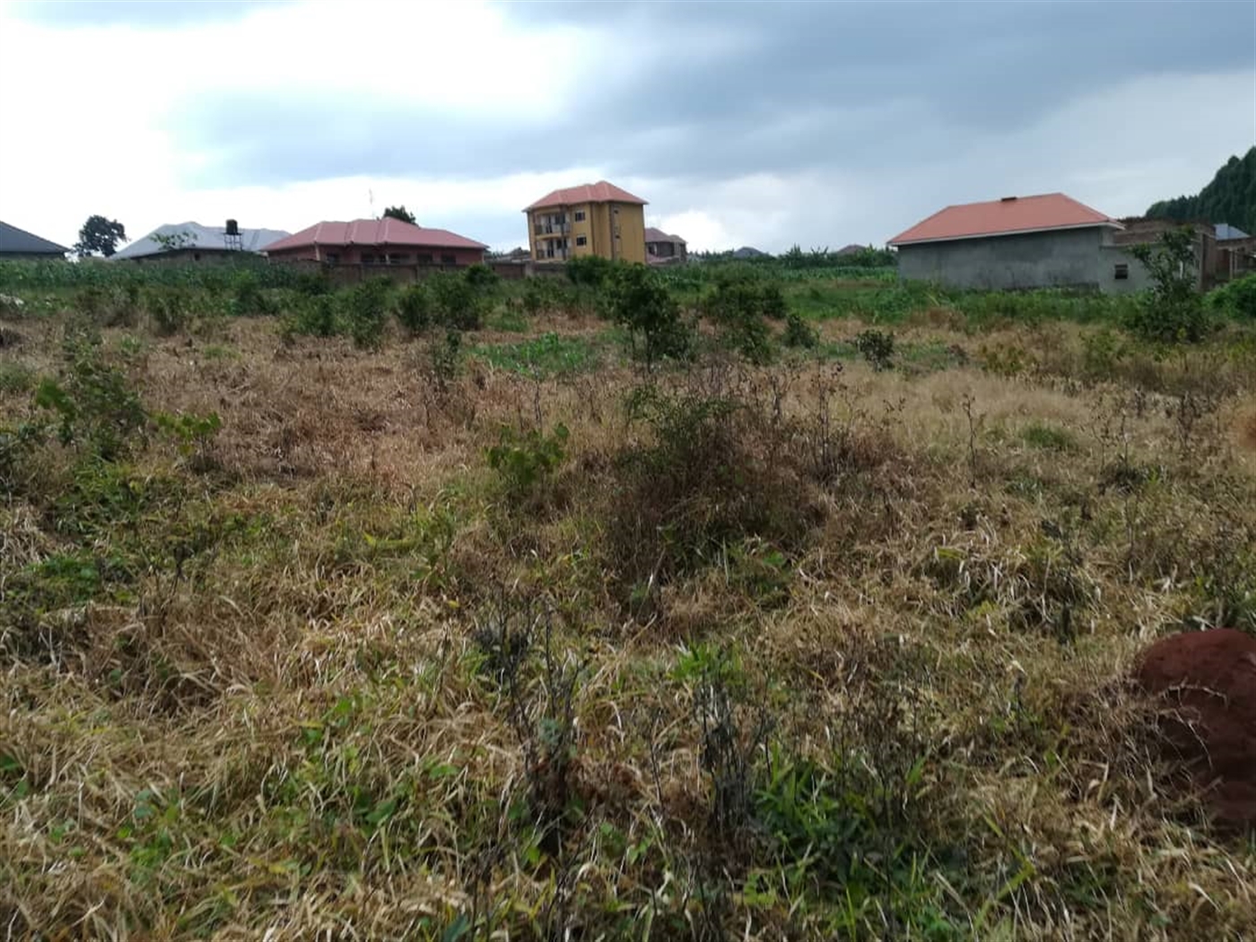 Residential Land for sale in Nabuuti Mukono