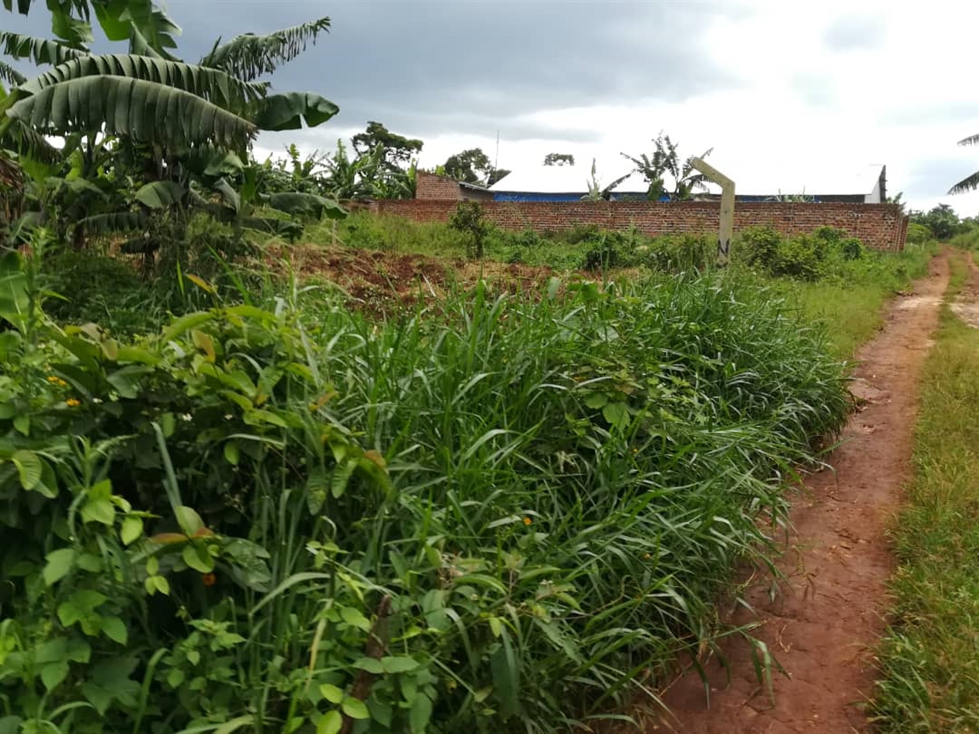 Agricultural Land for sale in Nkokonjeru Mukono