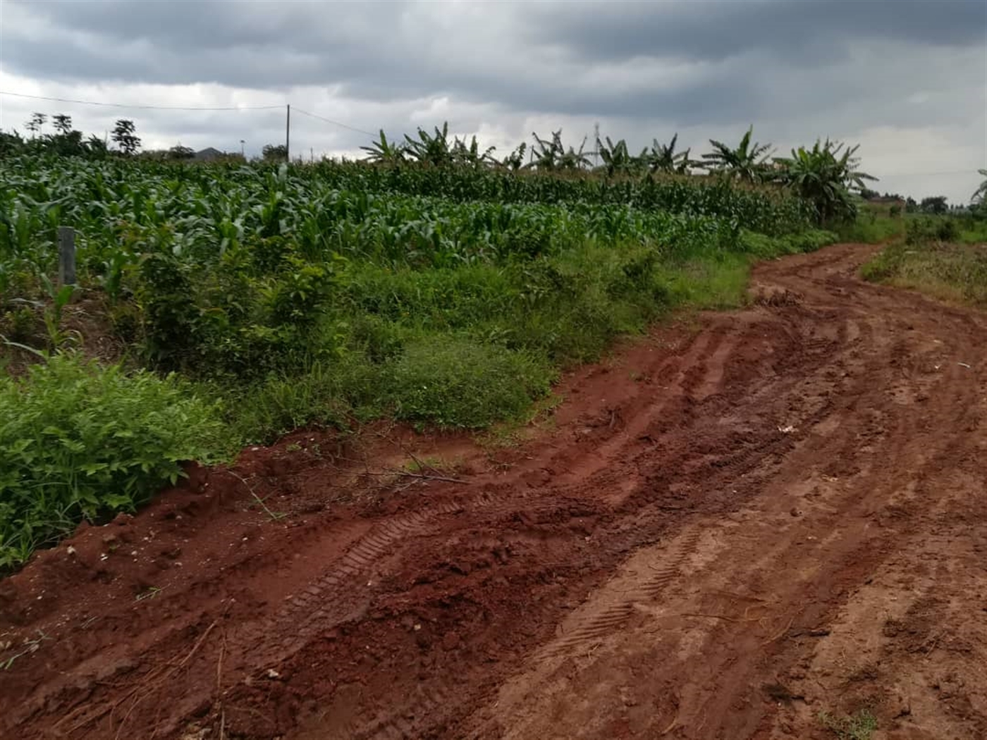 Residential Land for sale in Nabuuti Mukono