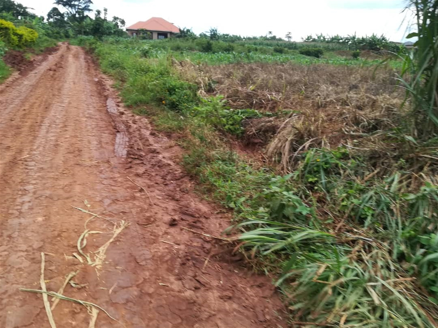 Agricultural Land for sale in Busabaga Mukono