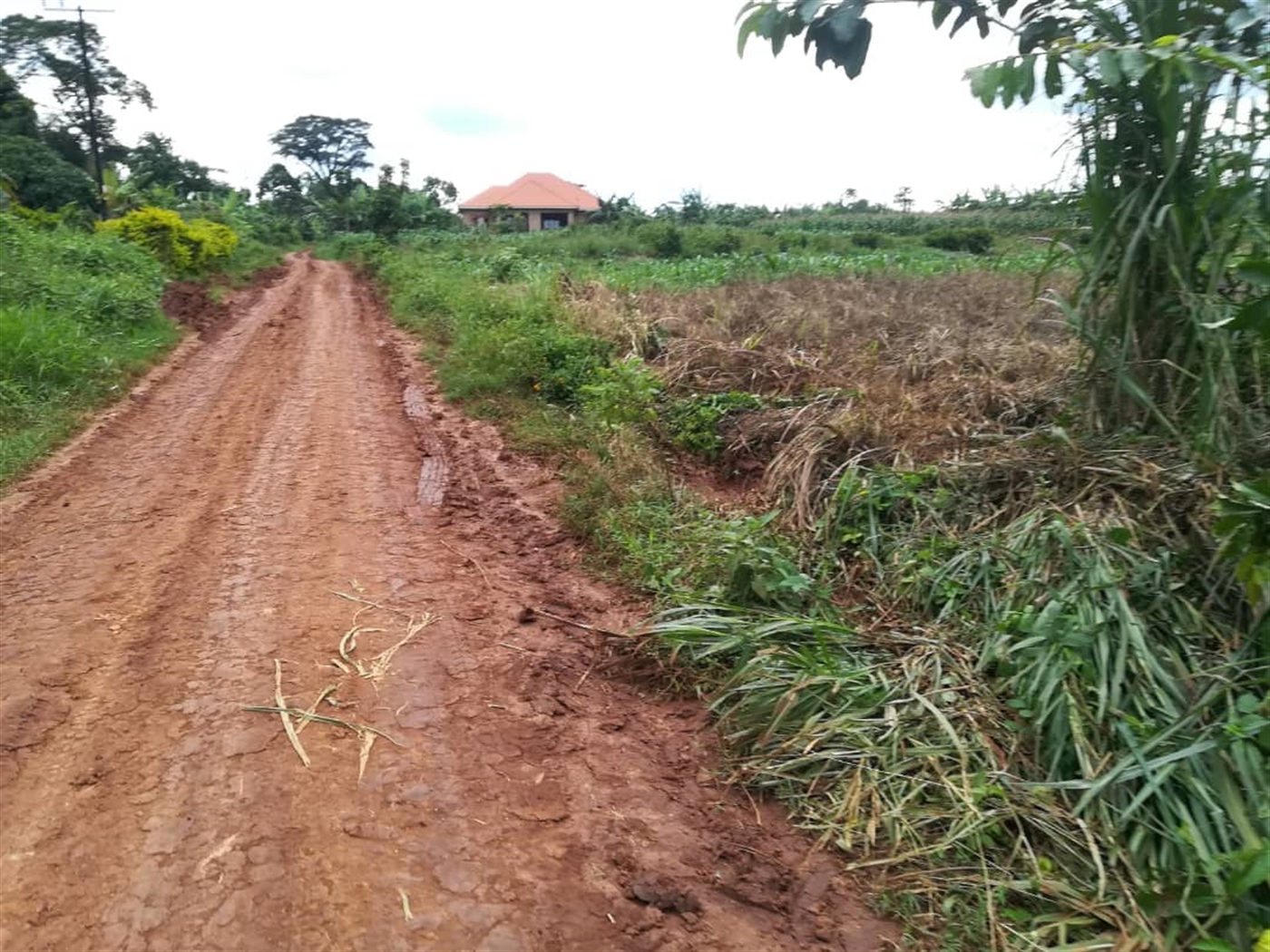 Agricultural Land for sale in Busabaga Mukono