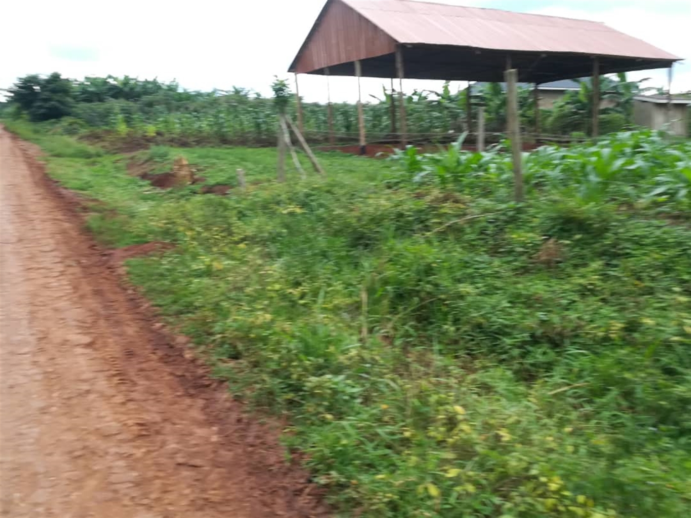 Agricultural Land for sale in Kisoga Mukono