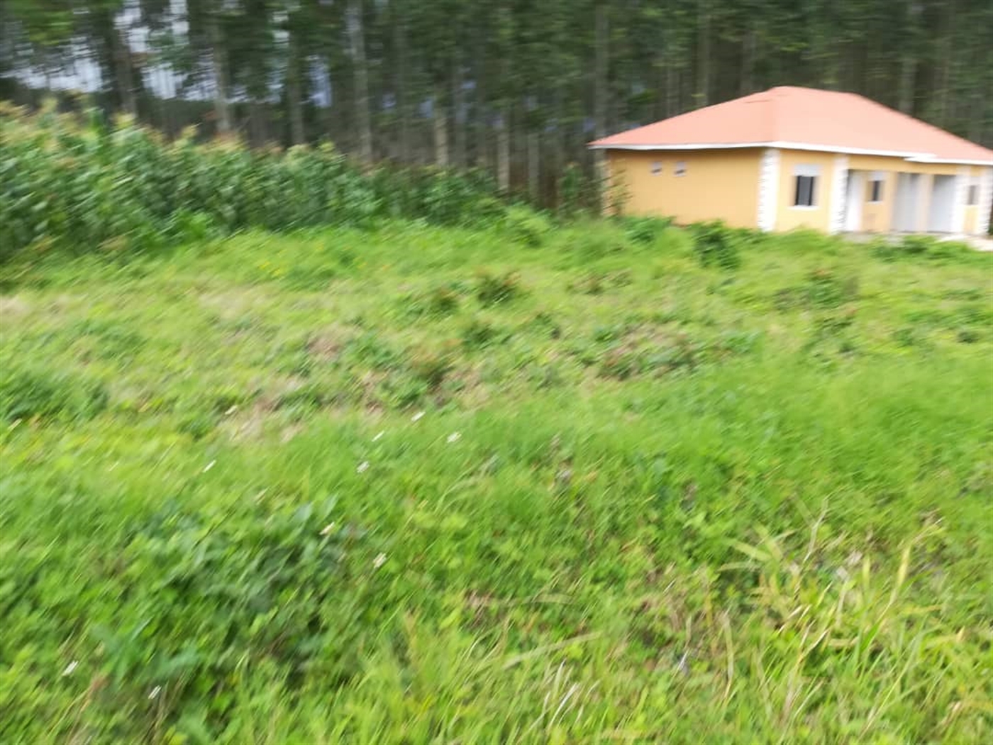 Agricultural Land for sale in Kisoga Mukono