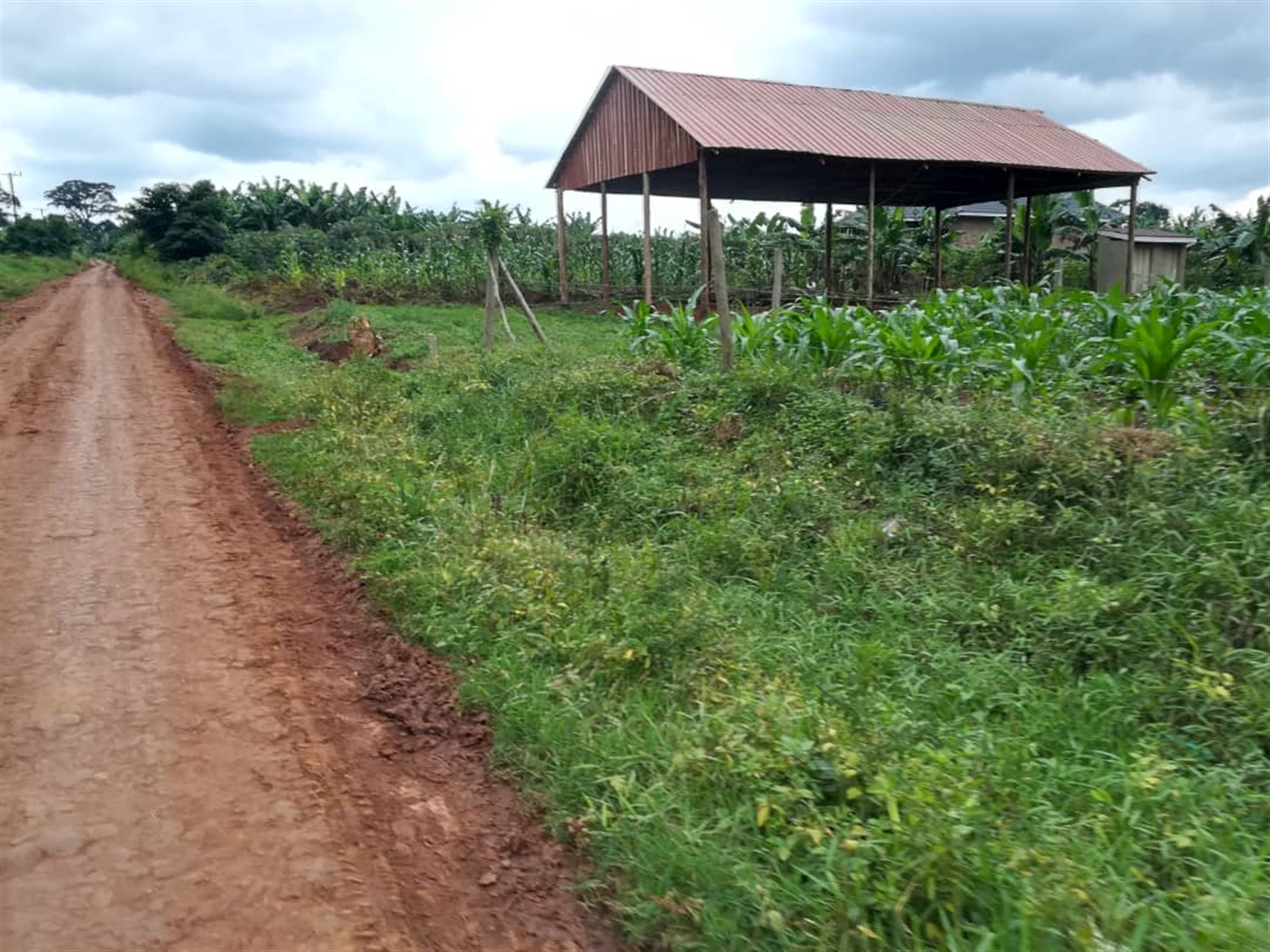 Agricultural Land for sale in Kisoga Mukono