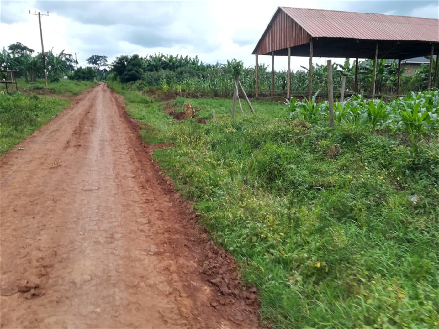 Agricultural Land for sale in Kisoga Mukono