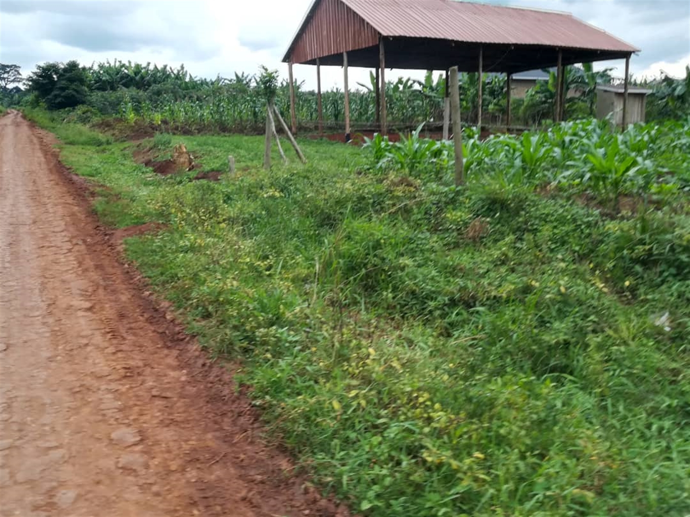Agricultural Land for sale in Kisoga Mukono