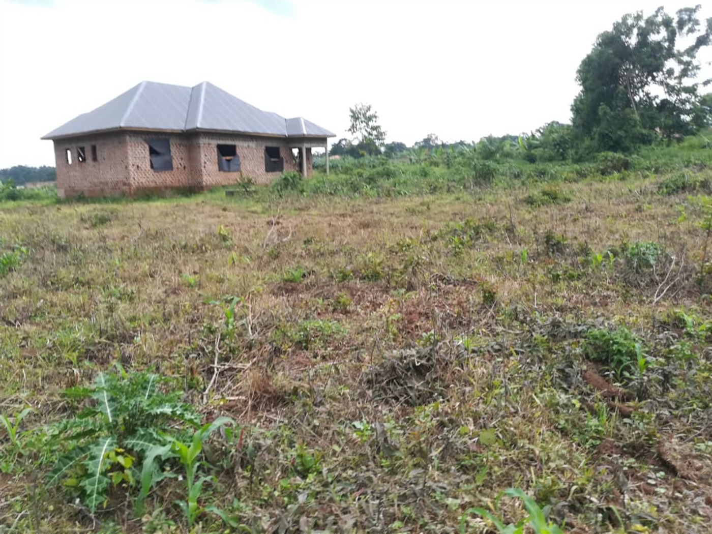 Residential Land for sale in Namilyango Mukono