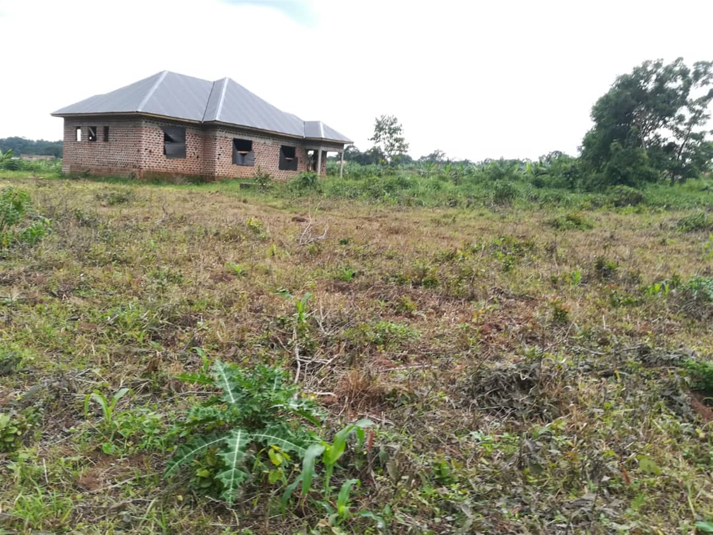 Residential Land for sale in Namilyango Mukono