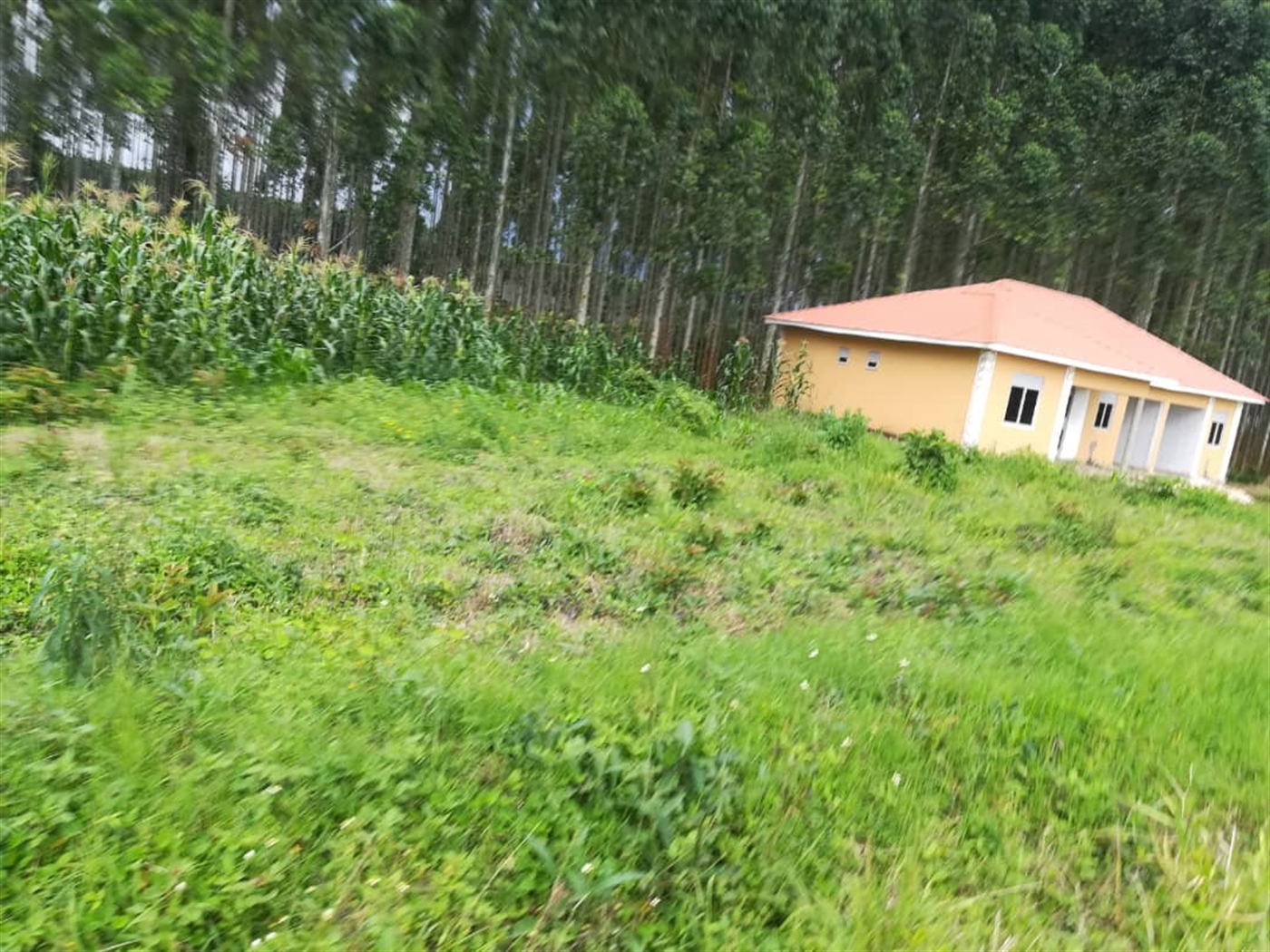 Agricultural Land for sale in Busabaga Mukono