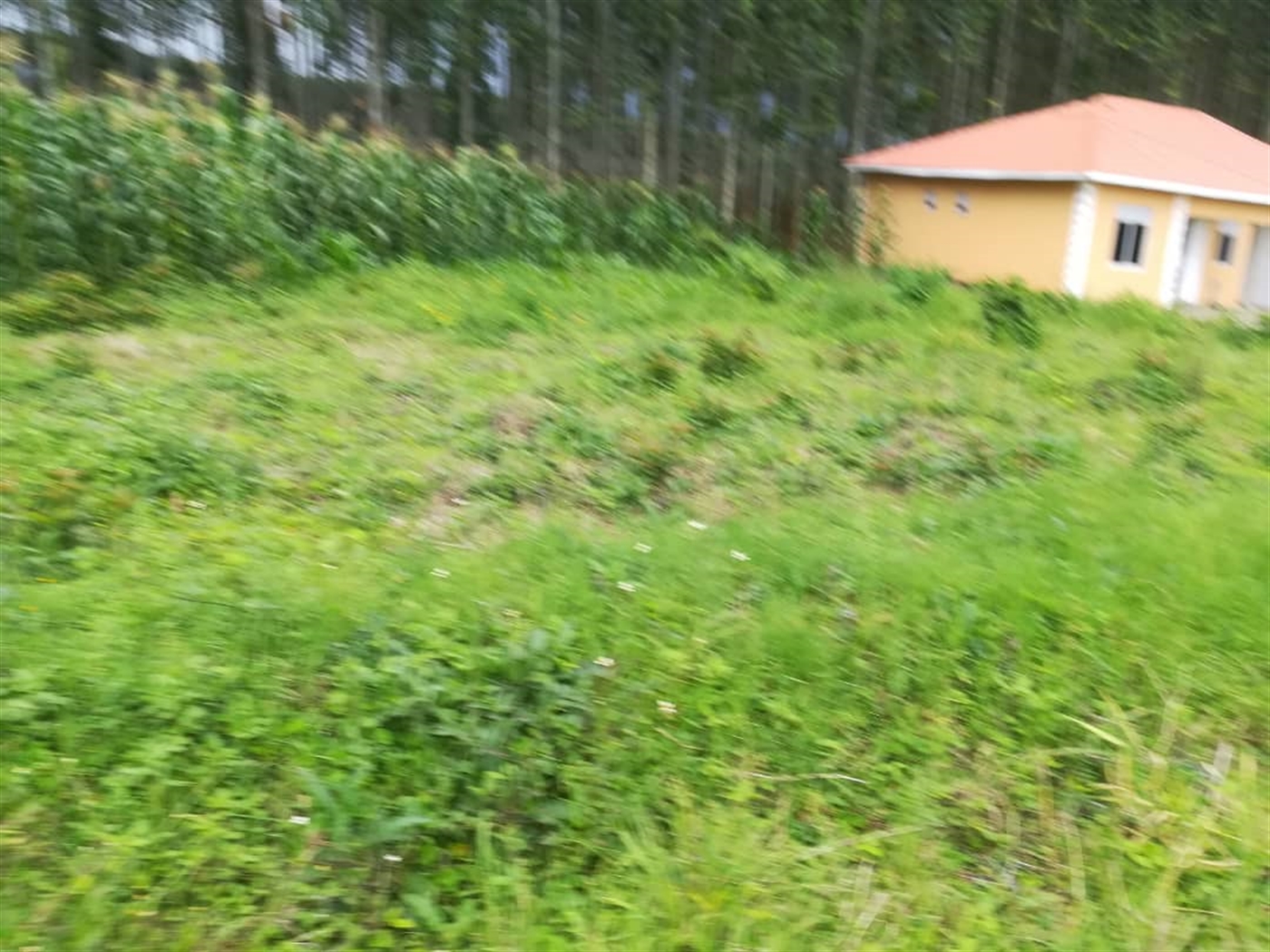 Agricultural Land for sale in Busabaga Mukono