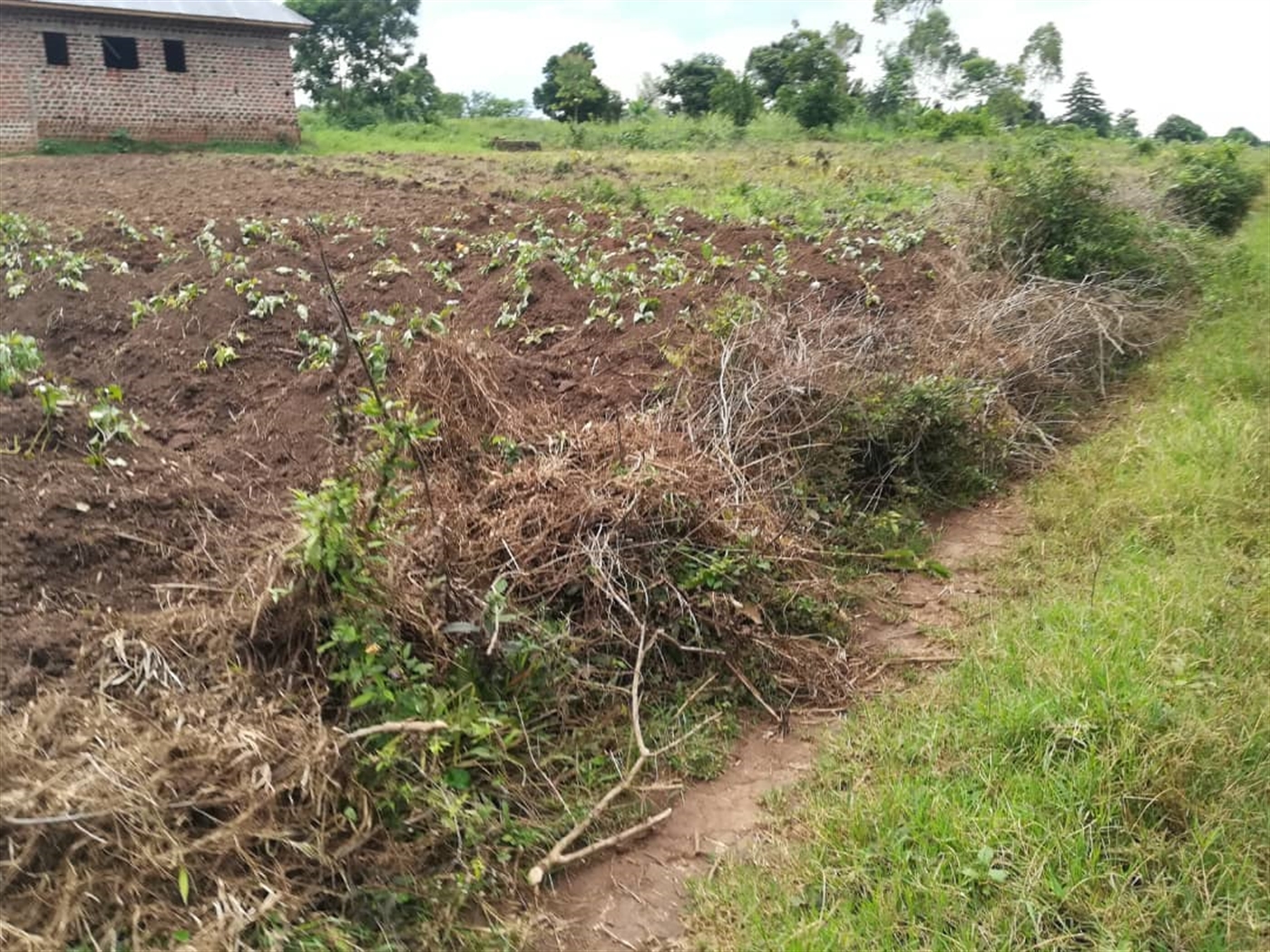 Residential Land for sale in Bajjo Mukono