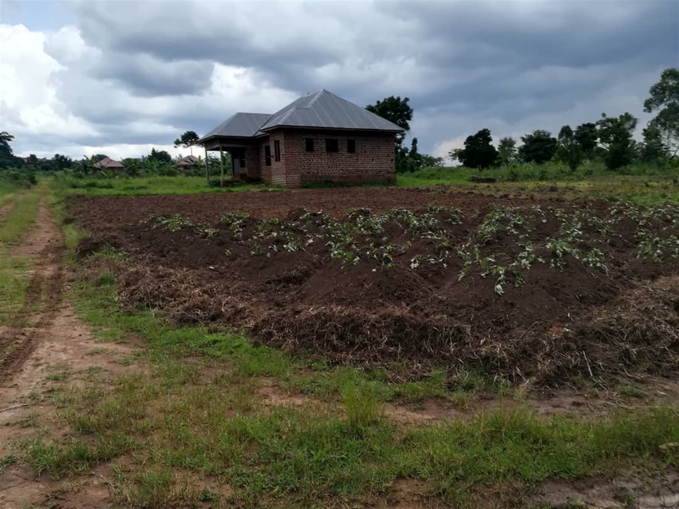 Residential Land for sale in Bajjo Mukono