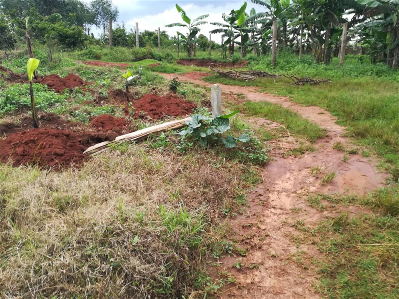 Agricultural Land for sale in Busabaga Mukono