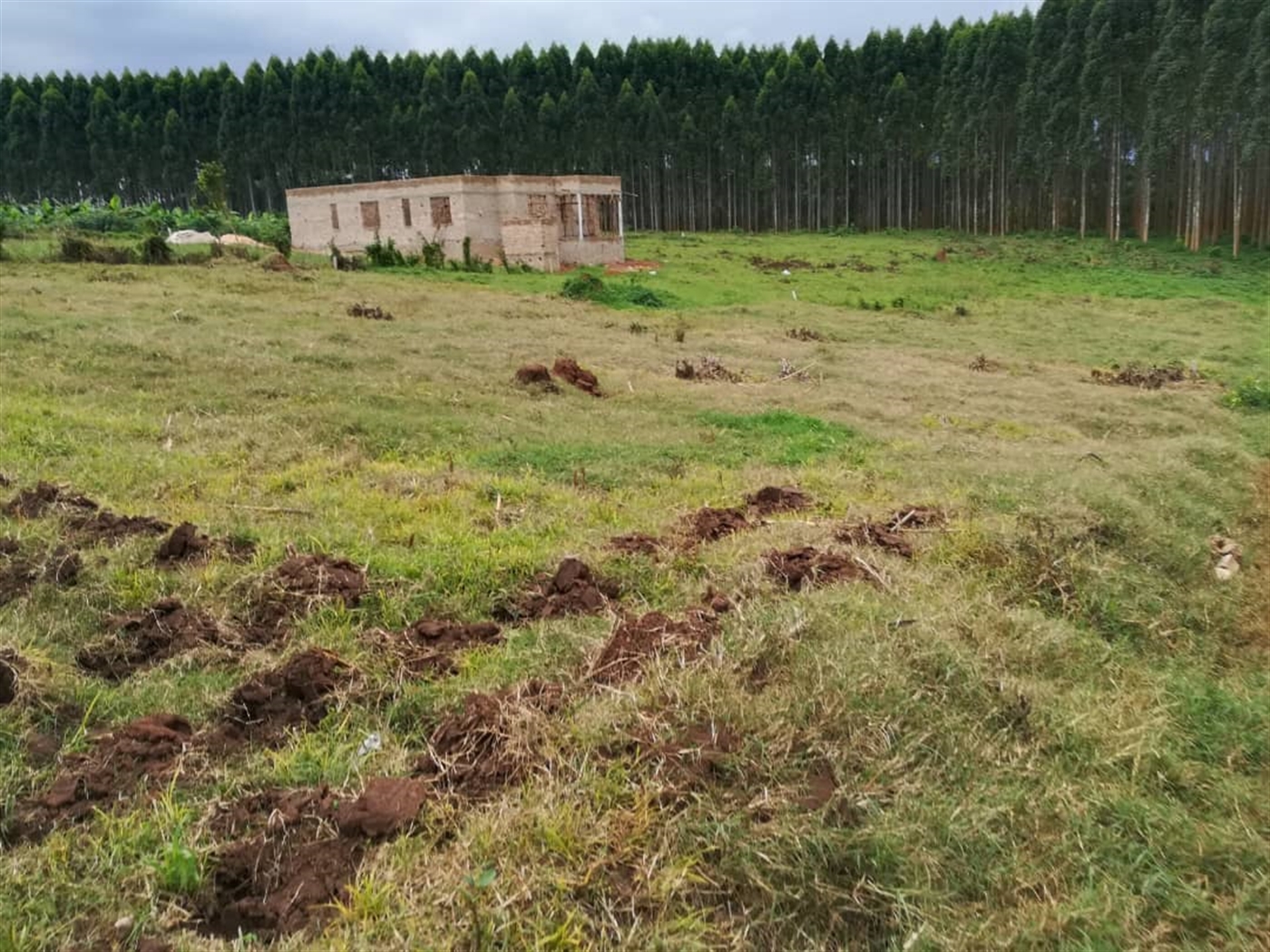 Residential Land for sale in Namilyango Mukono