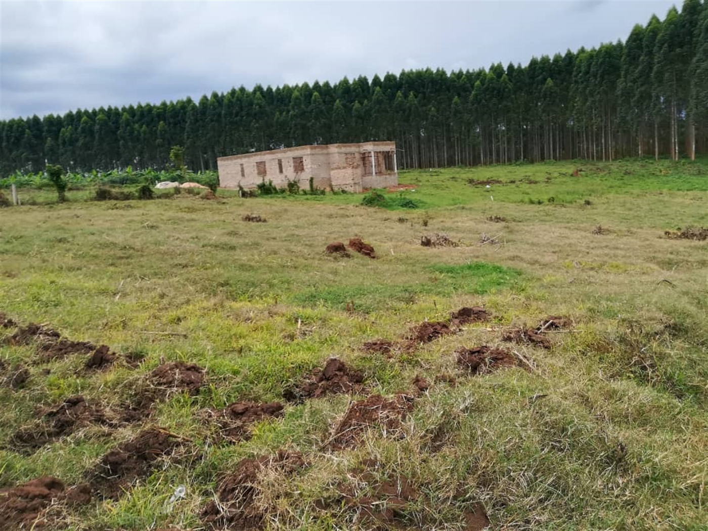 Residential Land for sale in Namilyango Mukono