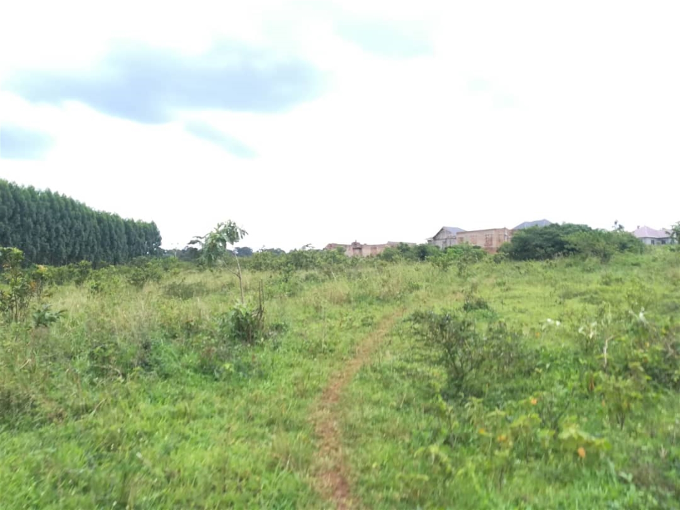 Agricultural Land for sale in Kisoga Mukono