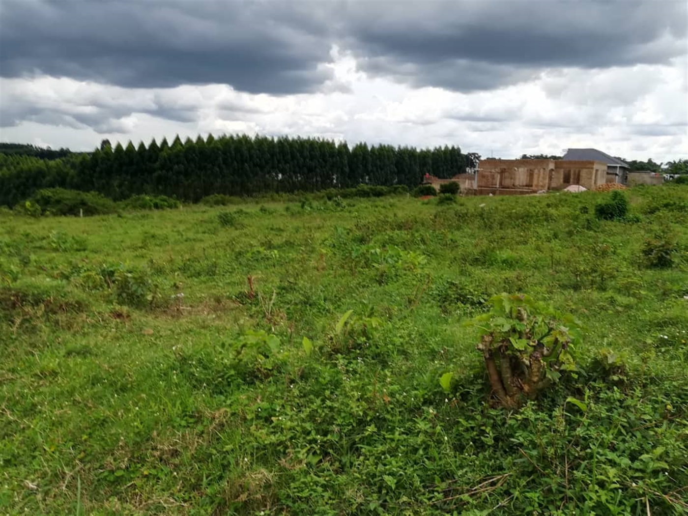 Residential Land for sale in Nabuuti Mukono