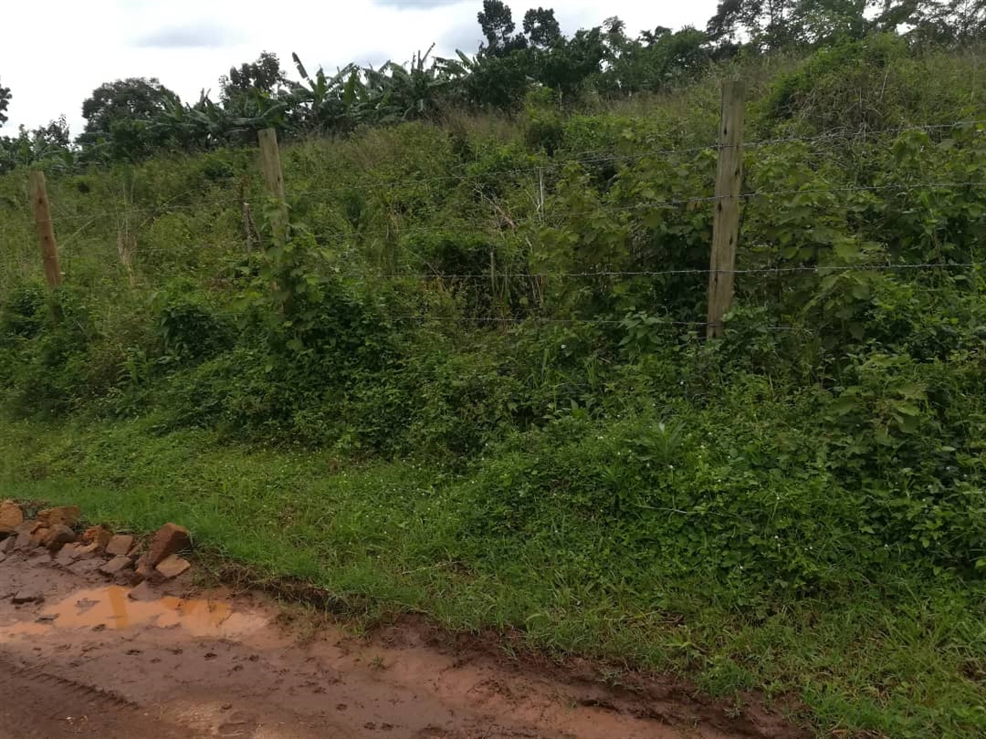 Residential Land for sale in Nabuuti Mukono