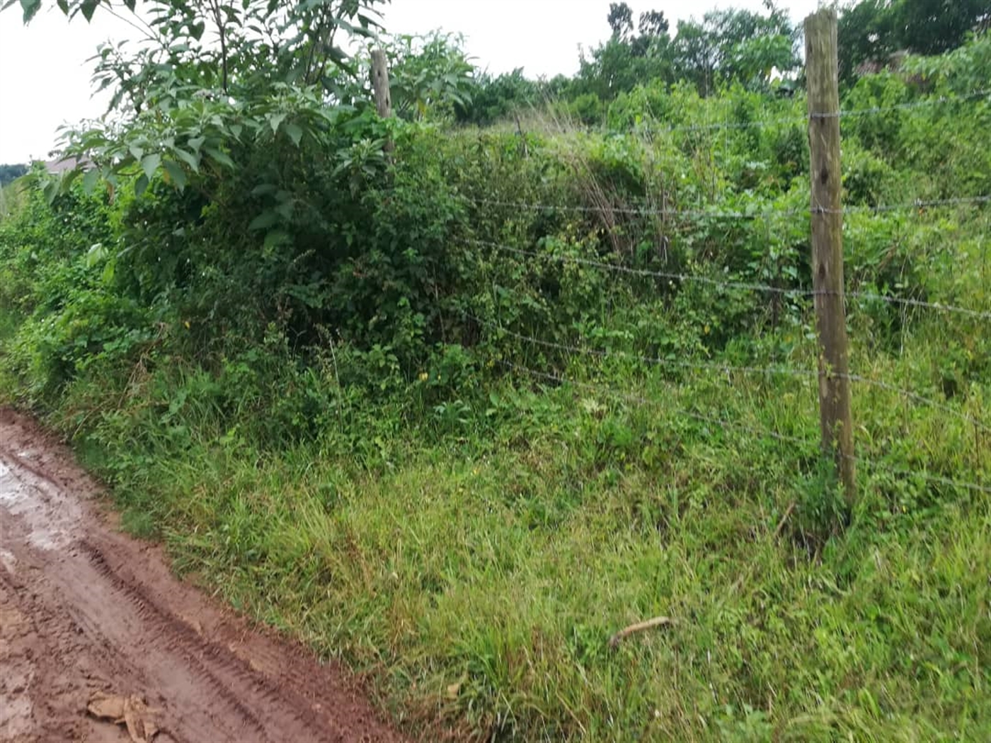 Residential Land for sale in Nabuuti Mukono